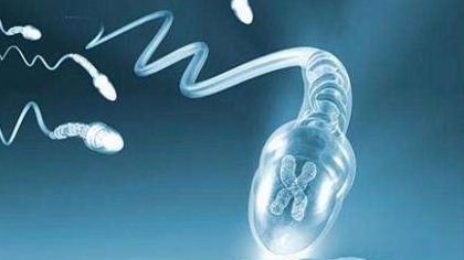 丽水做第三代试管婴儿的价格是多少呢？