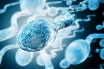 泰国芭提雅曼谷医院做试管婴儿技术怎么样？