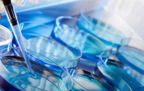 男方只有一侧睾丸影响生育吗？适合做人工授精还是试管？