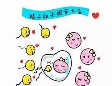 卵巢囊肿能怀孕吗,还需结合囊肿严重程度判断