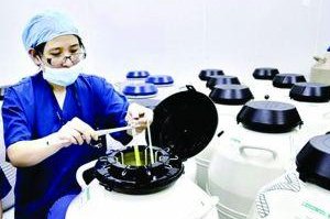 移植后体温突然下降一阵阵发冷是怎么回事？