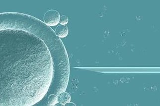 做试管会导致卵巢早衰吗？看完就放心了